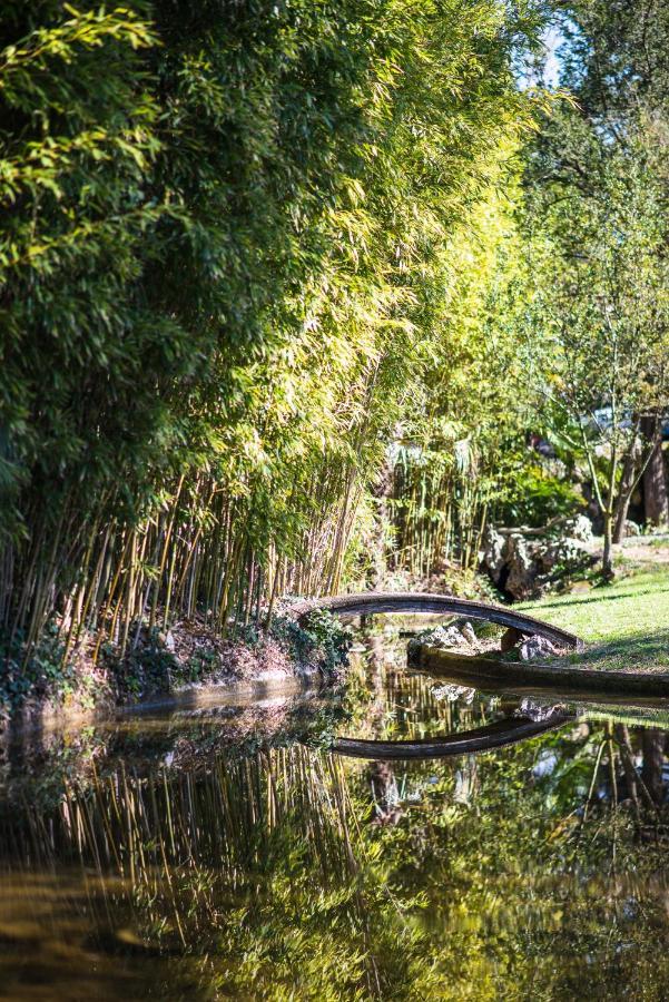 Domaine D'Auriac - Relais & Chateaux การ์กาซอน ภายนอก รูปภาพ